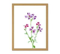 Vintage Bright Botanicals Virginian Stock Large Framed Art Print Poster Wall Decor 18x24 inch