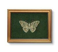 Vintage Butterfly Framed Wall Art 12x16 Antique Insect Illustration Print