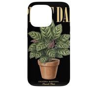 Vintage Calathea Makoyana Plant Dad Nature Flora Gardener Case for iPhone 13 Pro