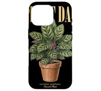 Vintage Calathea Makoyana Plant Dad Nature Flora Gardener Case for iPhone 16 Pro