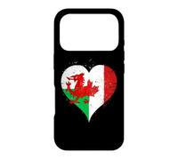 Vintage Canada Wales Flag Proud Canadian Welsh Fans Pride Case for iPhone 17 Pro