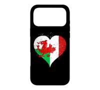 Vintage Canada Wales Flag Proud Canadian Welsh Fans Pride Case for iPhone 17 Pro Max