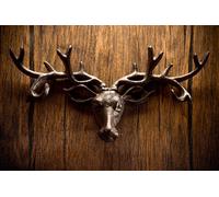 Vintage Cast Iron Stag's Head With 6 Deer Antler Hooks