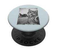 Vintage Cat Selfie Amish Buggy Funny Feline Design PopSockets Adhesive PopGrip
