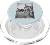 Vintage Cat Selfie Amish Buggy Funny Feline Design PopSockets PopGrip for MagSafe