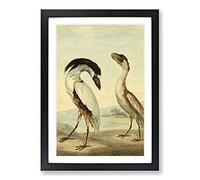 Vintage Charles R Ryley Boat-Bill Framed Print | A2 Black Framed Wall Art | Ready to Hang | Classic Vehicle Picture | Living Room Bedroom Lounge Office