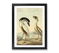 Vintage Charles R Ryley Boat Bill Vintage Framed Wall Art Print, Ready to Hang Picture for Living Room Bedroom Home Office Décor, Black A2 (64 x 46 cm)