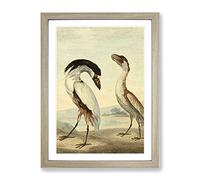 Vintage Charles R Ryley Boat Bill Vintage Framed Wall Art Print, Ready to Hang Picture for Living Room Bedroom Home Office Décor, Oak A2 (64 x 46 cm)