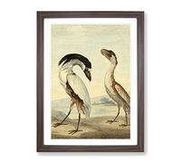 Vintage Charles R Ryley Boat Bill Vintage Framed Wall Art Print, Ready to Hang Picture for Living Room Bedroom Home Office Décor, Walnut A4 (34 x 25 cm)