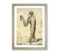 Vintage Charles R Ryley Long Armed Gibbon Vintage Framed Wall Art Print, Ready to Hang Picture for Living Room Bedroom Home Office Décor, Oak A2 (64 x 46 cm)