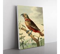 Vintage Charles R Ryley Southern Brown Parrot Vintage Canvas Wall Art Print Ready to Hang, Framed Picture for Living Room Bedroom Home Office Décor, 76x50 cm (30x20 Inch)