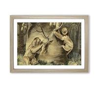 Vintage Charles R Ryley Three-Toed Sloth Framed Print | A2 Oak Framed Wall Art | Ready to Hang | Classic Nature Picture | Living Room Bedroom Lounge Office