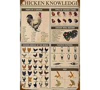 Vintage Chicken Knowledge Chicken Breeds of The World Poster Metal Aluminium Tin Sign 8x12 Inch Wall Decor