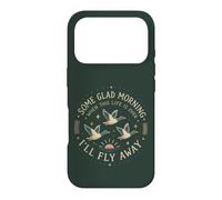 Vintage Christian Ducks in Flight Country Faith Case for iPhone 17 Pro
