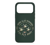 Vintage Christian Ducks in Flight Country Faith Case for iPhone 17 Pro Max
