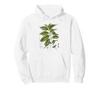 Vintage Coffee Plant Diagram Coffee Arabica Botanical Pullover Hoodie