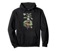 Vintage Coffee Plant Diagram Coffee Arabica Botanical Pullover Hoodie