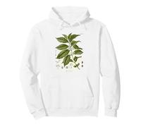 Vintage Coffee Plant Diagram Coffee Arabica Botanical Pullover Hoodie
