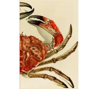 Vintage Crab Notebook: Lined Hardcover Crab Journal for Seafood Lovers, Crabbers and Fishing Folk or People who Love Crabs [6" x 9" | 160pp]