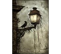 Vintage Dark Crow On Lamp Post At Night Wall Art Photo Picture Print Poster A4