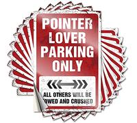 Vintage Decor Lettering Sticker - Punk Stone Case Pointer Lover Parking Only(8X12CM)