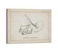 Vintage Dinosaur Skeleton Paleontology Wall Art Canvas Posters Dinosaur Fossils Art Prints Triceratops Sketches Pictures Boy Room Decor (SKU2,12"x16"(30 x 40 cm),Framed)