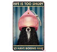 Vintage Dog Groomer Sign - Life is Too Short to Have Boring Hair - Dog Lover Gift - 8x12 inch Metal Decor
