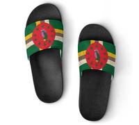 Vintage Dominica Flag Slippers for Indoor Outdoor
