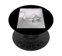 Vintage Drawing of a Swan Design PopSockets Adhesive PopGrip