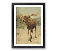 Vintage E.A. Holmes Alaskan Moose Framed Print | A2 Black Framed Wall Art | Ready to Hang | Classic Nature Picture | Living Room Bedroom Lounge Office