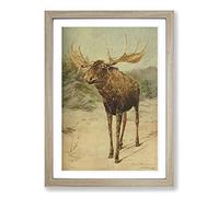 Vintage E.A. Holmes Alaskan Moose Framed Print | A2 Oak Framed Wall Art | Ready to Hang | Classic Nature Picture | Living Room Bedroom Lounge Office