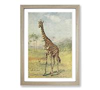 Vintage E.A. Holmes Giraffe Framed Print | A2 Oak Framed Wall Art | Ready to Hang | Classic Animal Picture | Living Room Bedroom Lounge Office