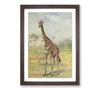 Vintage E.A. Holmes Giraffe Framed Print | A2 Walnut Framed Wall Art | Ready to Hang | Classic Animal Picture | Living Room Bedroom Lounge Office