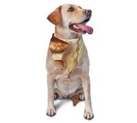 Vintage Edible Mushrooms Dog Bandana Pet Scarf Accessories for Small Medium Dogs Cats Photo Prop, Triangle Pet Bandanas Adjustable Puppy Bib Washable Dog Kerchief Puppy Neckerchief