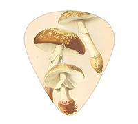 Vintage Edible Mushrooms Guitar Plectrums 12 Pieces Set =>> Comfortable In The Hand With Smooth Edges Three Thicknesses To Match
