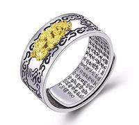 Vintage Ethnic Pi Xiu Dragon Auspicious Clouds Golden Toad Vajra Engrave Buddhist Texts Pattern Inlay Adjustable Open Finger Ring for Men Women Lucky Jewelry, Metal, withoutgem,
