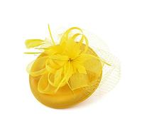 Vintage Fascinator Women Veil Pillbox Hat Wedding Ascot Hats Flower Ribbons Feathers Headband Cocktail Tea Party Birdcage Mesh Hen Party Barrettes Hat 1950s Headwear for Ladies and Girls