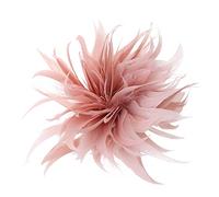 Vintage Feather Bouquet Brooch Handmade Feather Shell Clip Pin Goose Feather Brooch Scarf Buckle For Women Clip For Women, one size, As described
