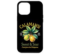 Vintage Filipino Lime Calamansi Fruit Philippine Lemon Retro Case for iPhone 12 Pro Max