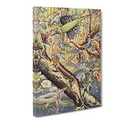 Vintage Fleischmann, Josef Flying Dragon Vintage Canvas Wall Art Print Ready to Hang, Framed Picture for Living Room Bedroom Home Office Décor, 30x20 Inch (76x50 cm)