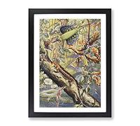 Vintage Fleischmann, Josef Flying Dragon Vintage Framed Wall Art Print, Ready to Hang Picture for Living Room Bedroom Home Office Décor, Black A3 (34 x 46 cm)