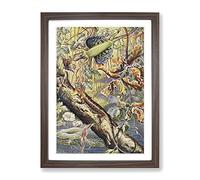 Vintage Fleischmann, Josef Flying Dragon Vintage Framed Wall Art Print, Ready to Hang Picture for Living Room Bedroom Home Office Décor, Walnut A2 (64 x 46 cm)