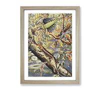 Vintage Fleischmann, Josef Flying Dragon Vintage Framed Wall Art Print, Ready to Hang Picture for Living Room Bedroom Home Office Décor, Oak A3 (34 x 46 cm)