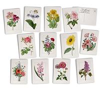 Vintage Floral Postcards - 24 Antique Flower Postcards - 12 Assorted Botanical Retro Book Illustration Cards Printed on Antique Textured Style Cardstock - Great for Spring, Summer, Gardening, & Nature