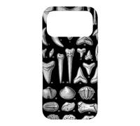 Vintage Fossil Teeth and Shells Natural History Collection Case for iPhone 17 Pro Max