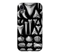 Vintage Fossil Teeth and Shells Natural History Collection Case for iPhone XR