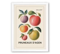 Vintage Fruit Varieties Botanical Framed Wall Art Print A2 (59.4×42cm) White, Wall Decor for Living Room, Bedroom, Office & Home, Ready to Hang, Art Gift