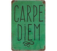 Vintage Funny Novelty Metal Sign Creative Tin Sign Carpe Diem Signs For Street Garage Family Cafe Farm Wall Decoration Crafts 8X12inch