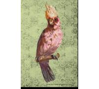 Vintage Galah Cockatoo Blank Book Lined 5.5 by 8.5: 5.5 by 8.5 inch 100 page lined blank book suitable as a journal, notebook or diary with a cover ... illustration of a galah cockatoo parrot