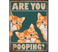 Vintage Ginger Cat Bathroom Metal Wall Sign, Are You Pooping Design, 20 x 15 cm, Teal Background